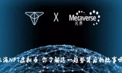 上海NFT虚拟币：你了解这