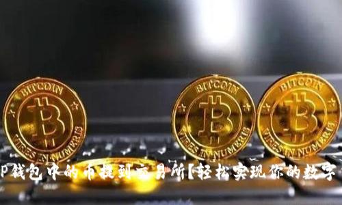 如何将TP钱包中的币提到交易所？轻松实现你的数字货币交易