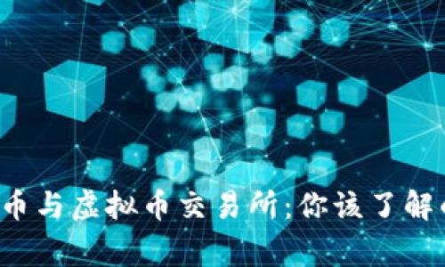 数字人民币与虚拟币交易所：你该了解的那些事！
