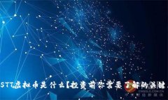 “GSTT虚拟币是什么？投资