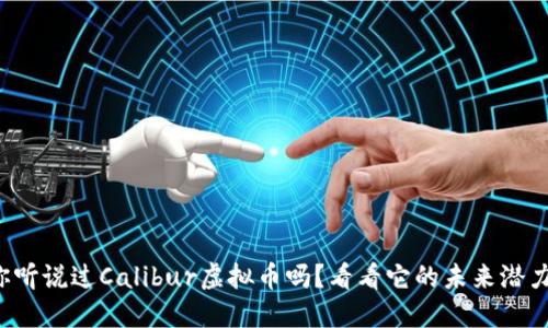 你听说过Calibur虚拟币吗？看看它的未来潜力！