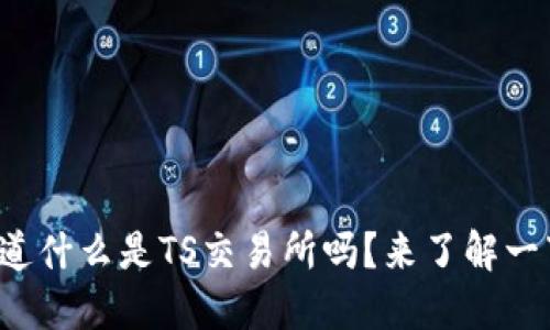 你知道什么是TS交易所吗？来了解一下吧！