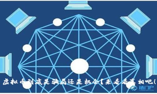 虚拟币到底是骗局还是机会？来看看真相吧！