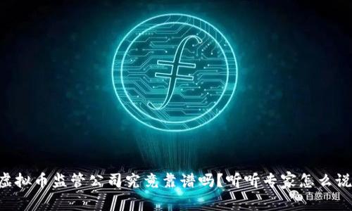 虚拟币监管公司究竟靠谱吗？听听专家怎么说！