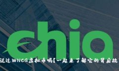 你听说过WNCG虚拟币吗？一起来了解它的背后故事