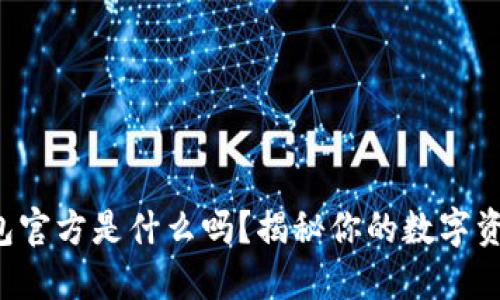 你知道TP钱包官方是什么吗？揭秘你的数字资产管理伙伴！