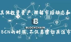   “探索BCN虚拟币：你的投