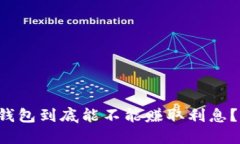 虚拟币放钱包到底能不能