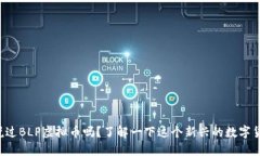 你听说过BLP虚拟币吗？了