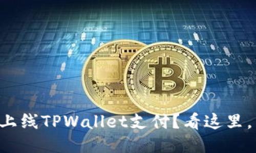 想知道怎么上线TPWallet支付？看这里，手把手教你！