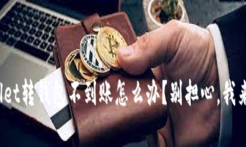 tpwallet转钱包不到账怎么办？别担心，我来帮你！