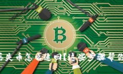 tpwallet丢失币怎么追回？这