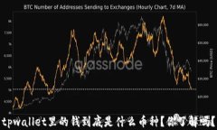 tpwallet里的钱到底是什么币