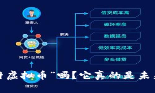 你听说过“地球村虚拟币”吗？它真的是未来货币的希望吗？