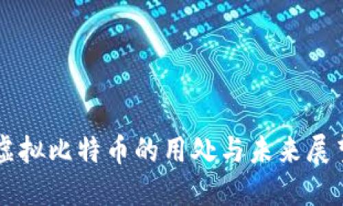 虚拟比特币的用处与未来展望