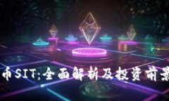 虚拟币SIT：全面解析及投