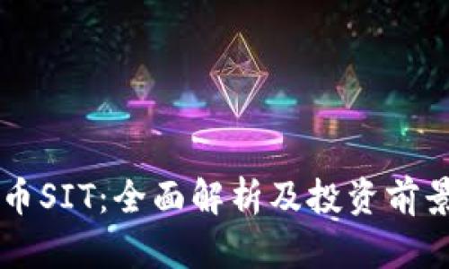 虚拟币SIT：全面解析及投资前景分析