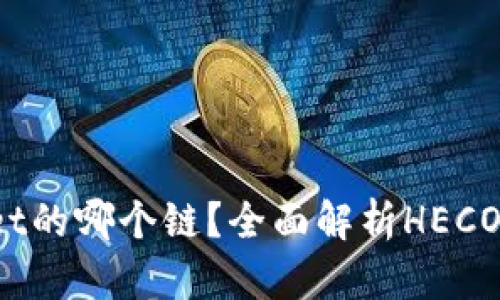 HECO是TPWallet的哪个链？全面解析HECO链的特点与应用