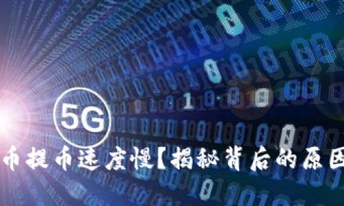 为什么虚拟币提币速度慢？揭秘背后的原因与解决方案