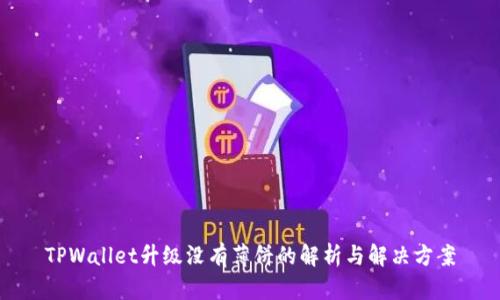 TPWallet升级没有薄饼的解析与解决方案