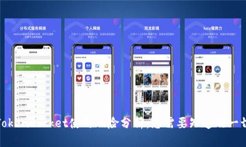 TokenPocket使用风险分析：您需要知道的一切