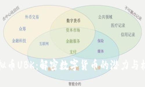 虚拟币UBK：解密数字货币的潜力与机会