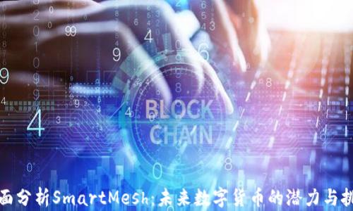 
全面分析SmartMesh：未来数字货币的潜力与挑战