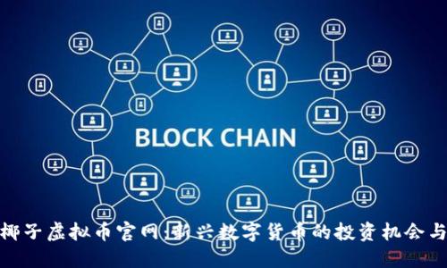 探秘椰子虚拟币官网：新兴数字货币的投资机会与风险