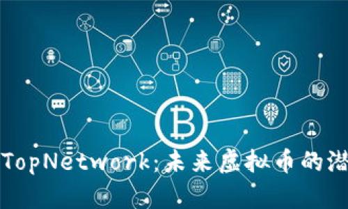 深入解析TopNetwork：未来虚拟币的潜力与前景