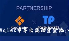 如何在TPWallet中导出流动资