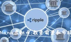 揭秘Nana虚拟币：投资前景