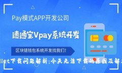 TPWallet下载问题解析：今天