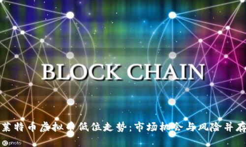 莱特币虚拟币低位走势：市场机会与风险并存