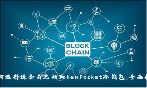 如何选择适合自己的TokenPocket冷钱包：全面指南