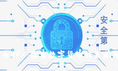 虚拟币XPX：探索数字货币的未来与潜力