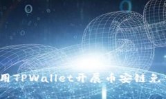 如何利用TPWallet开展币安链
