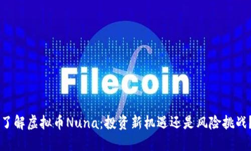 了解虚拟币Nuna：投资新机遇还是风险挑战？