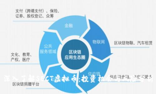 深入了解SECT虚拟币：投资机会与风险分析