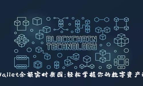 TPWallet余额实时截图：轻松掌握你的数字资产动态