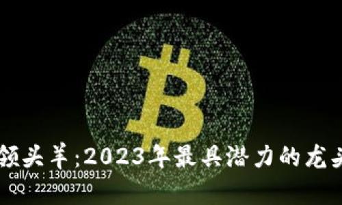 虚拟币领头羊：2023年最具潜力的龙头币一览
