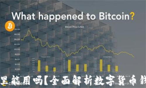 
虚拟币存放在钱包里能用吗？全面解析数字货币钱包的功能与安全性