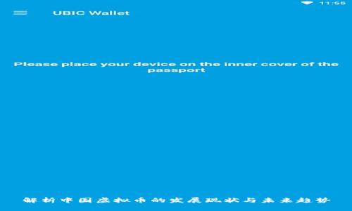 解析中国虚拟币的发展现状与未来趋势