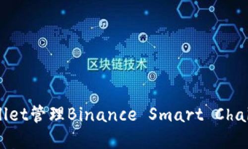 如何使用TPWallet管理Binance Smart Chain上的数字资产
