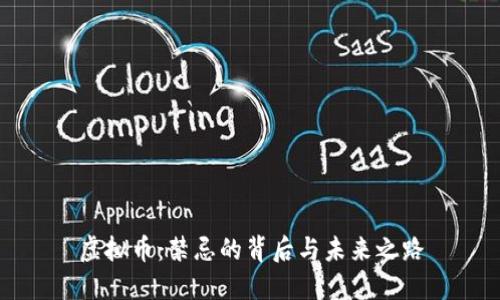 虚拟币：禁忌的背后与未来之路