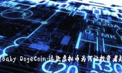 深入解析Baby DogeCoin：这款