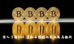 深入了解ENS：虚拟币领域