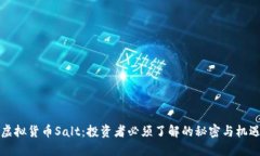 虚拟货币Salt：投资者必须