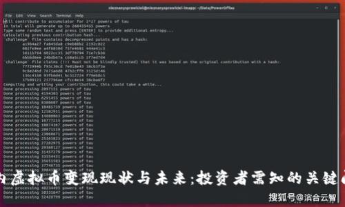 国内虚拟币变现现状与未来：投资者需知的关键问题