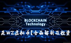 什么是WZ虚拟币？全面解析