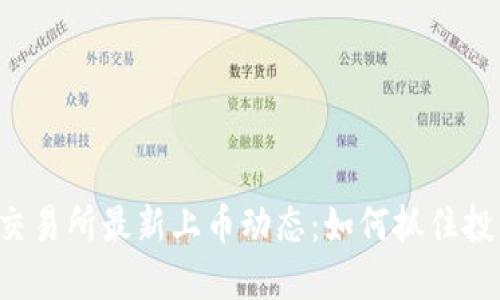 虚拟币交易所最新上币动态：如何抓住投资机会？